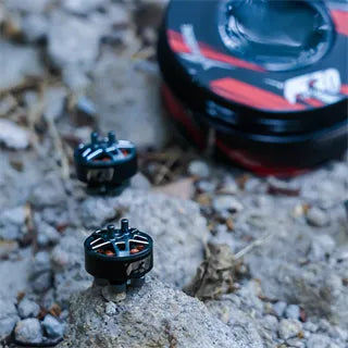 T-HOBBY F30 1404 Motor